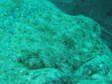 img0003.jpg