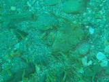 img0004.jpg