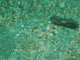 img0005.jpg