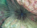 img0007.jpg