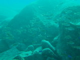 img0010.jpg