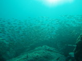 img0012.jpg