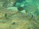 img0014.jpg