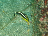 img0015.jpg