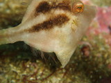 img0016.jpg
