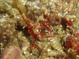 img0018.jpg