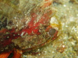 img0021.jpg