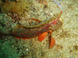 img0022.jpg