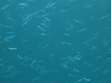 img0026.jpg