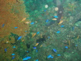 img0001.jpg