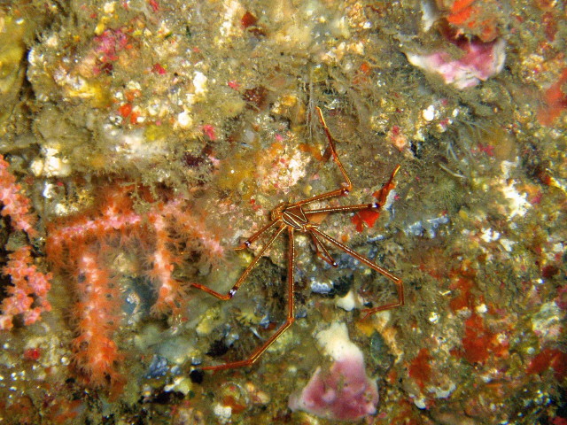 img0001.jpg