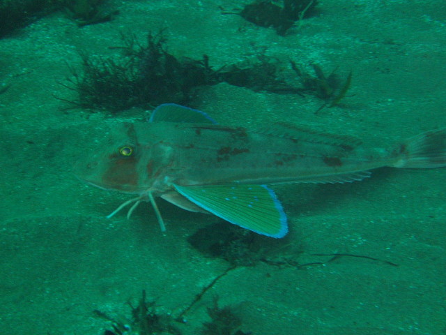 img0007.jpg