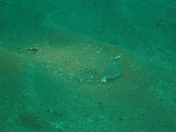 img0000.jpg