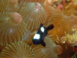 img0002.jpg
