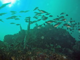 img0004.jpg