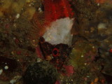 img0013.jpg