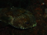 img0014.jpg