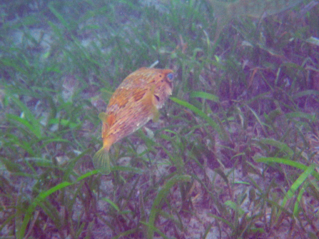 img0002.jpg