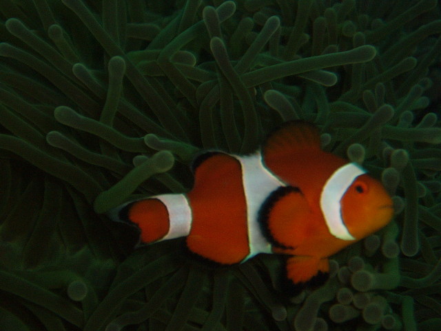 img0004.jpg