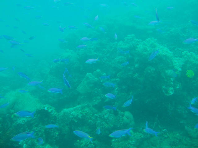 img0005.jpg