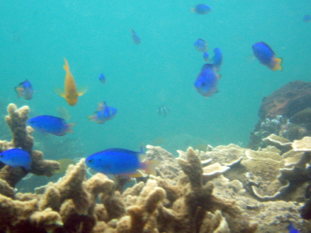img0006.jpg