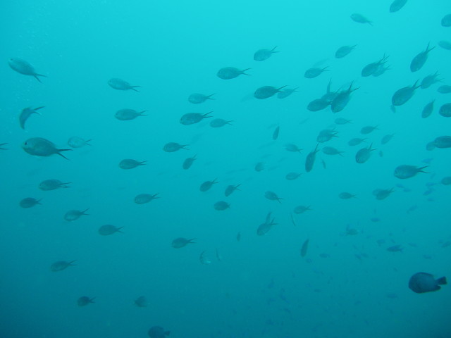 img0008.jpg