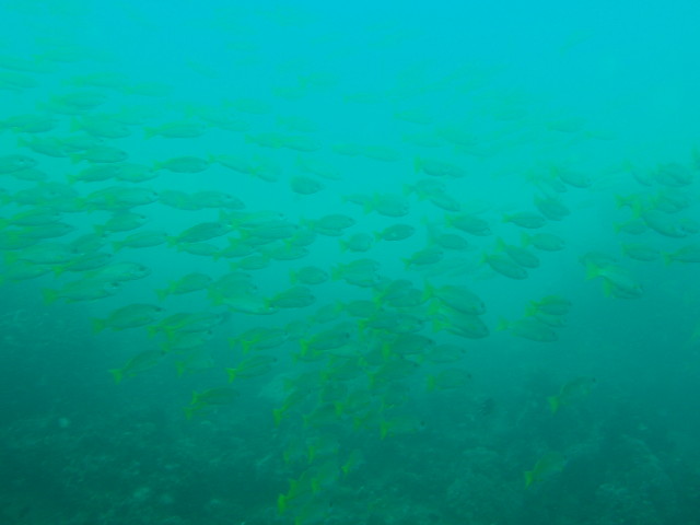 img0010.jpg