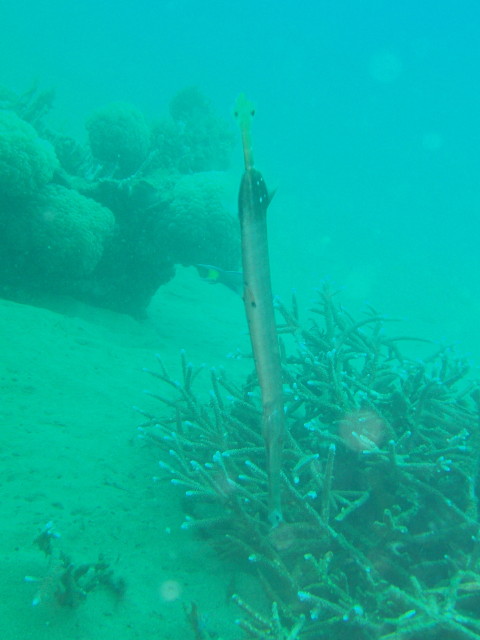 img0013.jpg