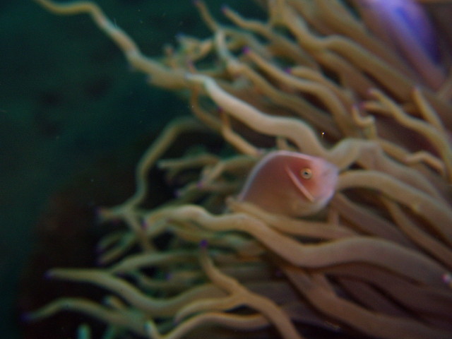 img0014.jpg