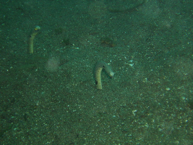 img0019.jpg