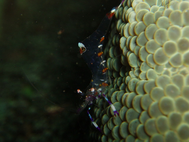 img0023.jpg