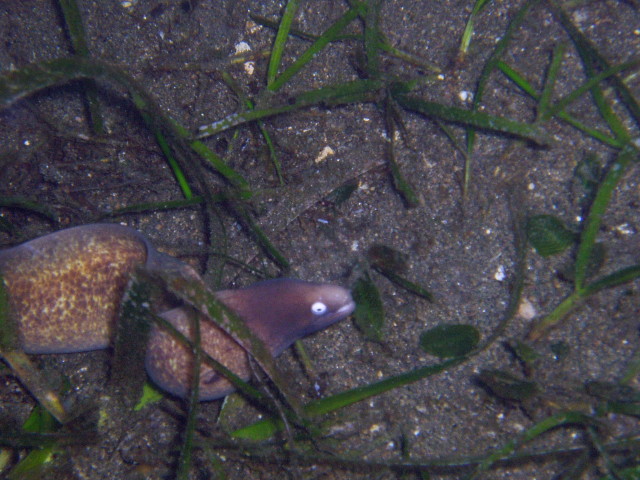 img0030.jpg
