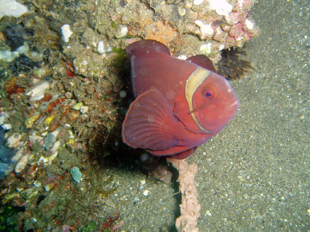 img0032.jpg