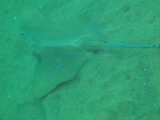 img0000.jpg