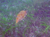 img0002.jpg
