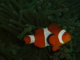 img0004.jpg