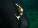 img0012.jpg