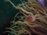 img0014.jpg