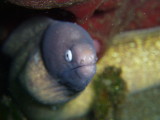 img0016.jpg