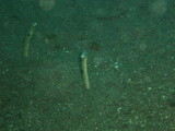 img0018.jpg