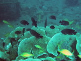 img0020.jpg