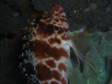 img0021.jpg