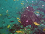 img0022.jpg