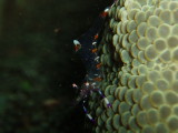 img0023.jpg