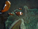 img0024.jpg
