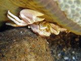 img0025.jpg