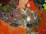 img0026.jpg
