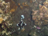 img0027.jpg