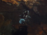 img0028.jpg