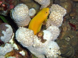 img0031.jpg